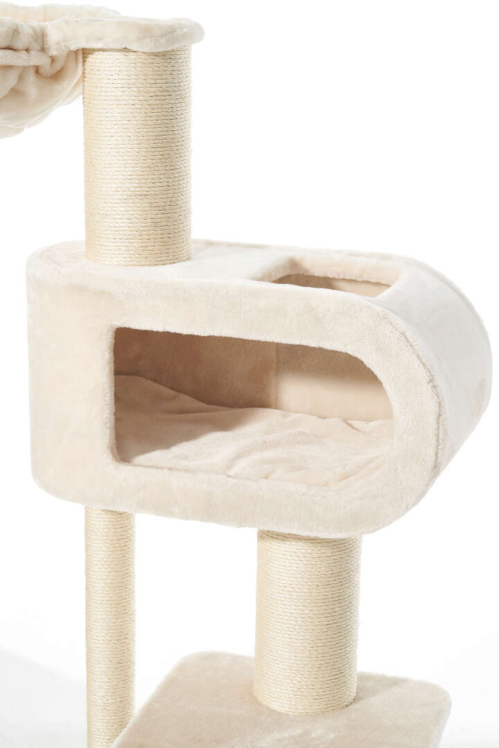 Nobby Kratzbaum Tove